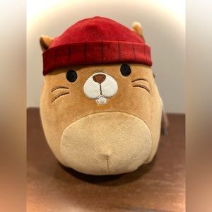 Squishmallows, CHIP, 2023 Fall Harvest Collection - NWT